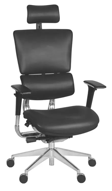 Global Industrial B3219204 Interion Omega Ergonomic Executive Office Chair with High Back & Adjustable Arms Leather - Black