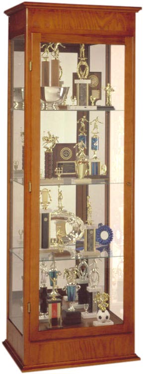 Display Cabinet with Hinged Door by Waddell