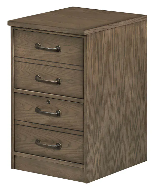 Ball-Bearing Vertical File Cabinet 19in W x 22in D x 30in H with 2 Drawers by Wilshire Furniture